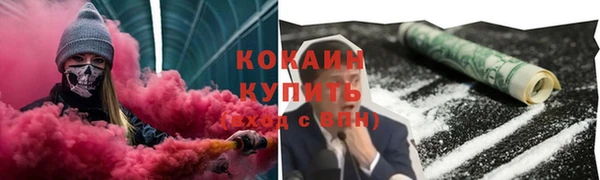 твердый Дмитровск