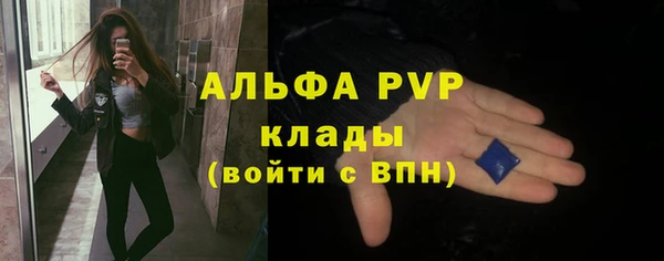 винт Дмитров