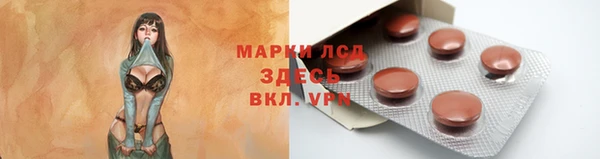 твердый Дмитровск