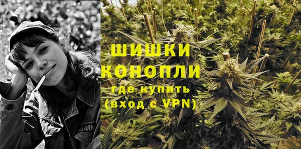 винт Дмитров