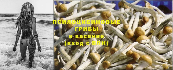 твердый Дмитровск