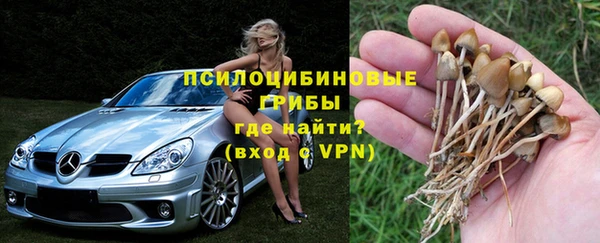 твердый Дмитровск