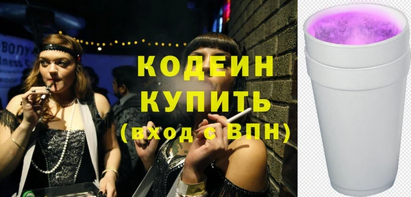 твердый Дмитровск