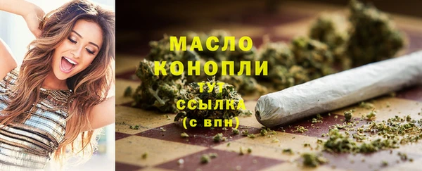 твердый Дмитровск