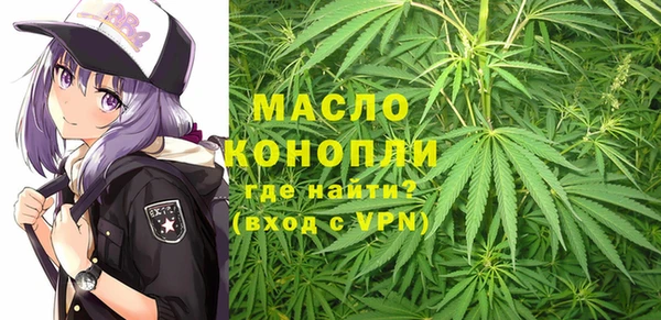твердый Дмитровск