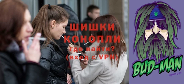 твердый Дмитровск