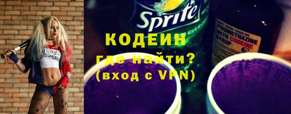 твердый Дмитровск