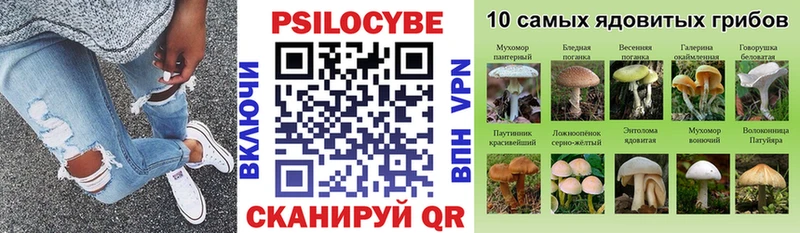 Купить где Сальск Псилоцибиновые грибы Psilocybine cubensis