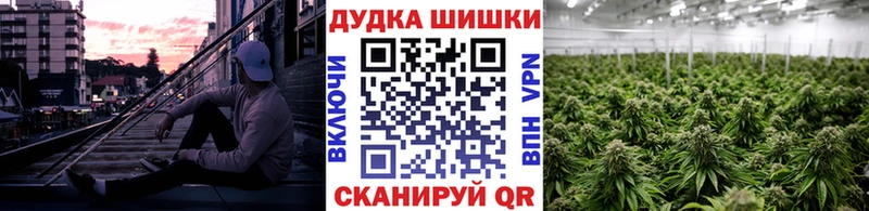 Шишки марихуана гибрид Купить где Сальск